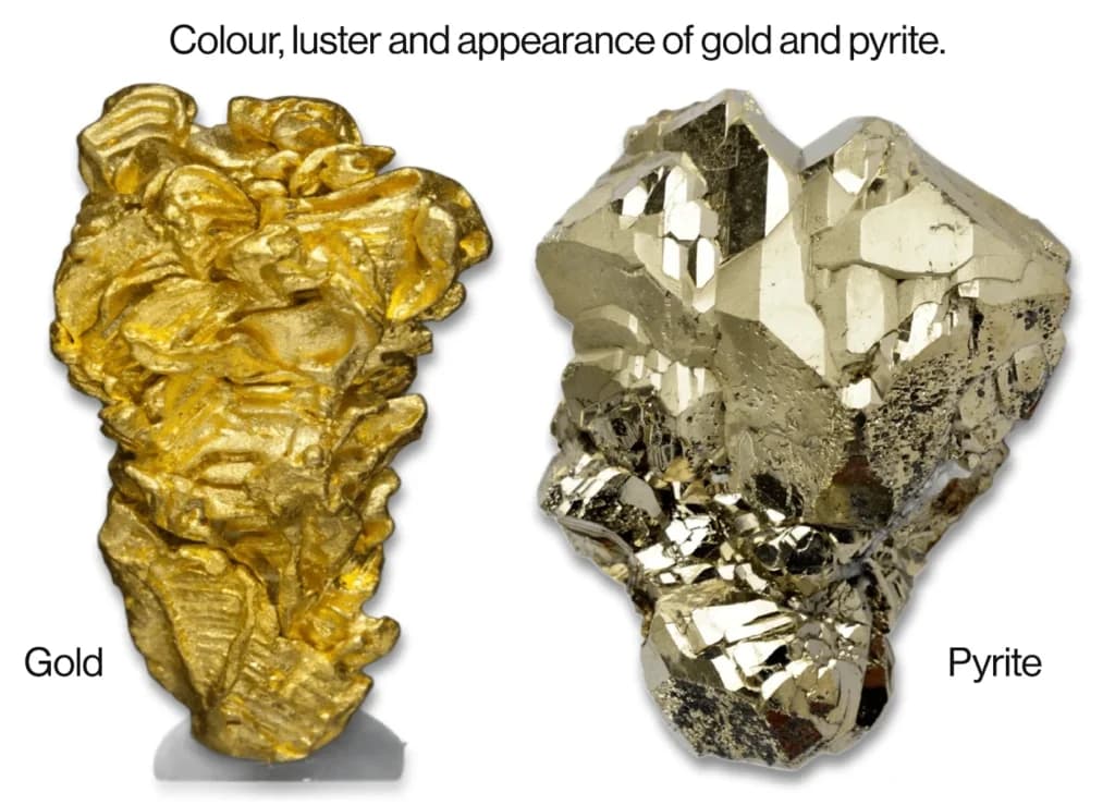 Infographic showing the differences between gold and pyrite.