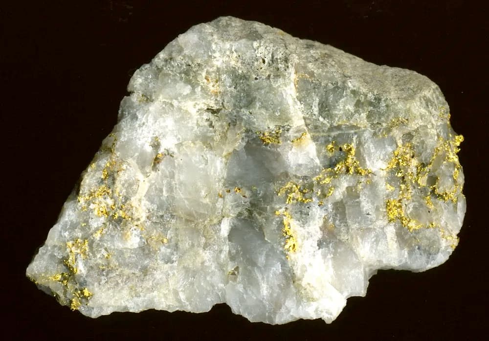 High-grade gold ore specimen with visible gold in white quartz rock.