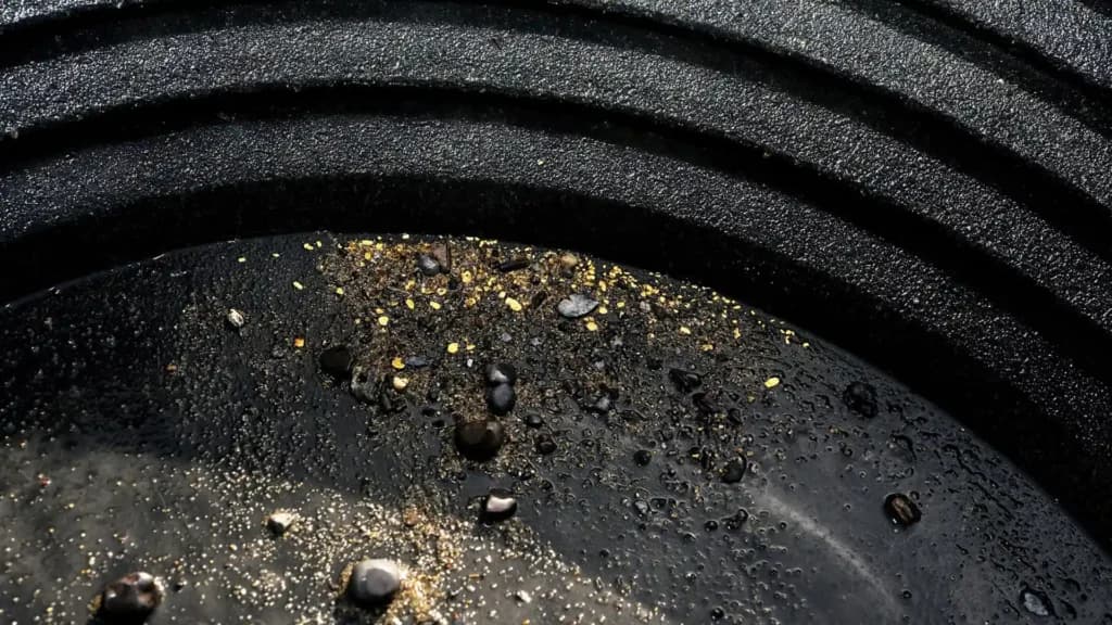 Close-up of a gold panning tray containing gold flakes—illustrating gold placer deposits, gold panning, and part of the natural process of how gold is made and found in riverbeds.